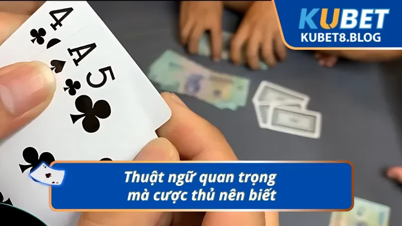 Điểm qua một số thuật ngữ cần nắm trong bài cào