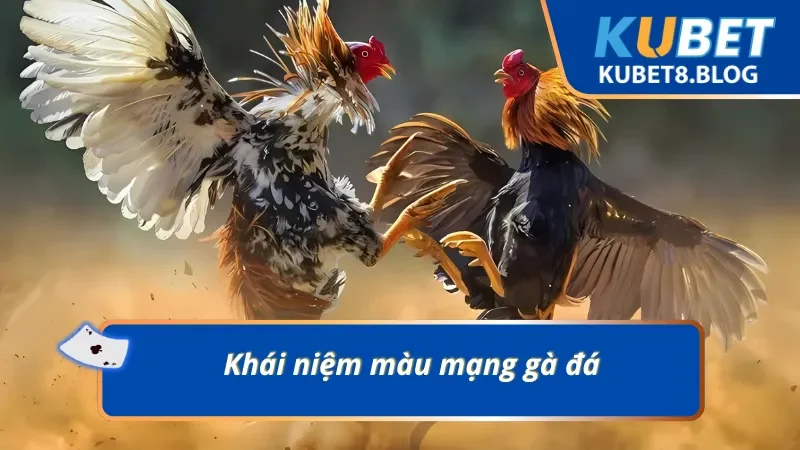 Tìm hiểu nhanh về khái niệm màu mạng gà đá