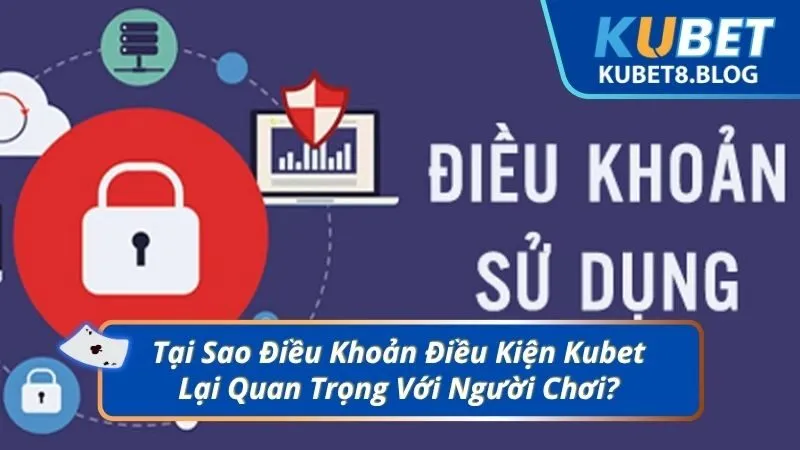 Tại Sao Điều Khoản Điều Kiện Kubet Lại Quan Trọng Với Người Chơi?