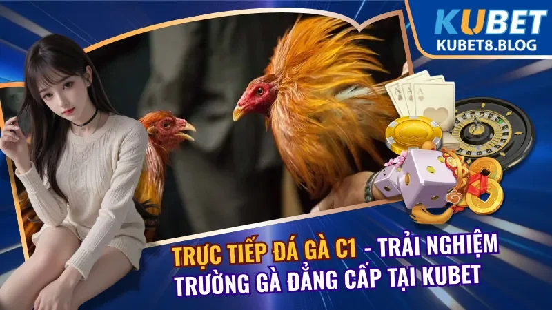 Trực Tiếp Đá Gà C1